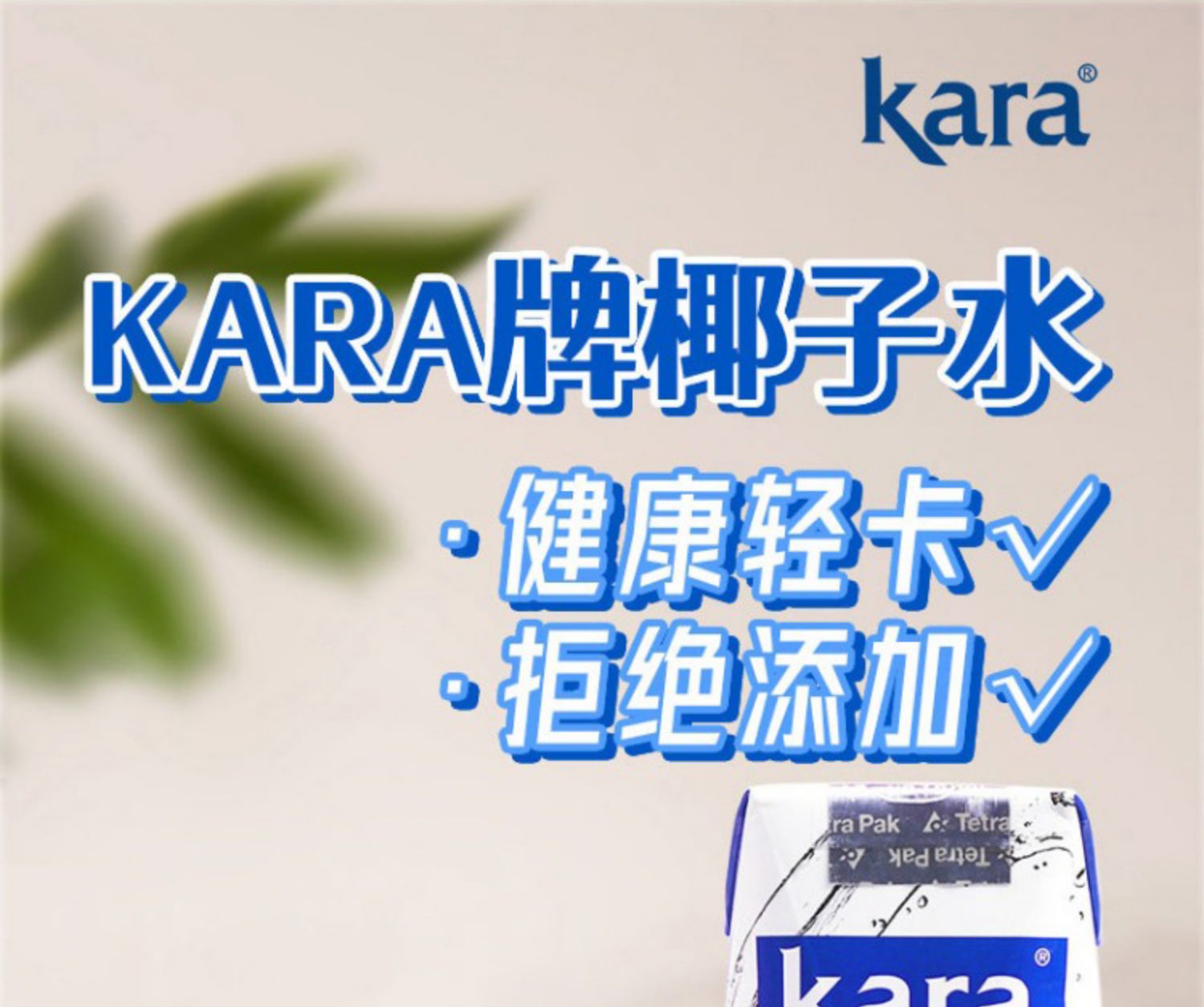 【KaraCoco】进口青椰果汁椰子水250ml*12