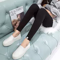 Черная котенка (весна и осень).