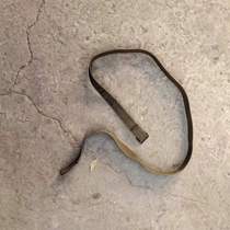 Old stock Out of stock measuring machine braces native ribbon print durable can be used when the belt use is about 140 cm long