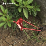 Дорожная палатка для кемпинга, ветрозащитный металлический навес на шнурке, алюминиевый сплав, 10 шт