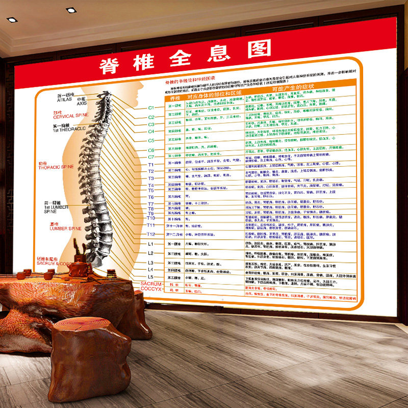 Traditional Chinese Medicine Health Preservation Hall Decoration Painting Beauty Salon Body Ridge Vertebra Holography neural distribution map Ridge Column Related Diseases Schematic traditional Chinese Medicine Health Preservation Wall Sticking of Cervical Spondylosis Type Disc