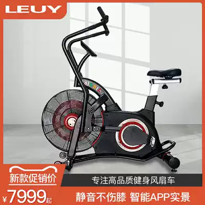 LEUY commercial fan exercise bike gym equipment home wind resistance exercise bike