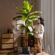 Simulated Banana Tree 2026 Large Leaf Decorative Artificial Green Plant Indoor Landscaping High-End Plant Fake Tree Ornament