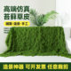 Simulated Moss, Artificial Turf, Outdoor Beautification, Artificial Landscaping, Indoor Permanent Micro-Landscape Decoration, Pavement, Simulated Green Plants
