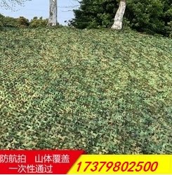 Anti-aerial photography hidden net green net covering green net shading net blocking anti-counterfeiting net outdoor decoration net sunscreen net