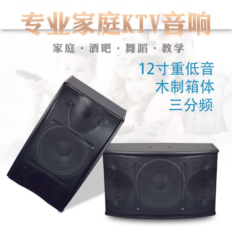 Professional 10 inch 12 inch Family KTV Card Bag Speaker Dance Room Background Music Multimedia Conference Wall-mounted Sound