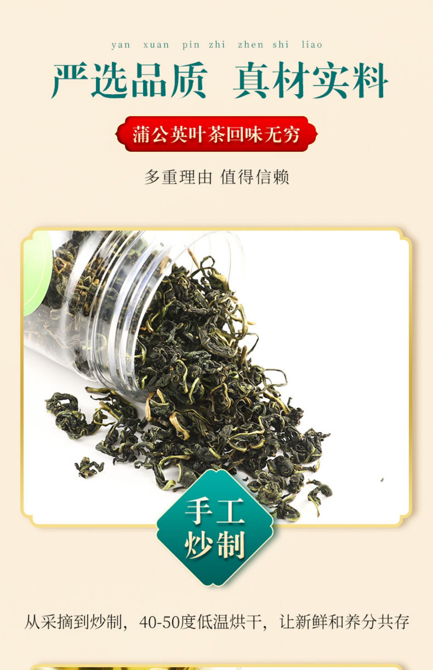 野生蒲公英叶茶多规格可选