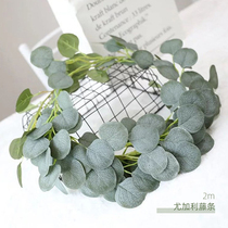 Simulation rattan green plant net red forest ins layout wicker eucalyptus turtle back leaf birthday decoration dress up supplies