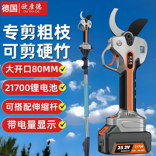 Перезаряжаемые бесколлекторные ножницы, Германия, высокая мощность