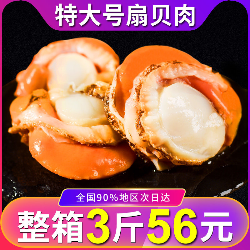 3 kg of scallop meat fresh large fan is frozen and frozen off - ready fan seafood aquaculture