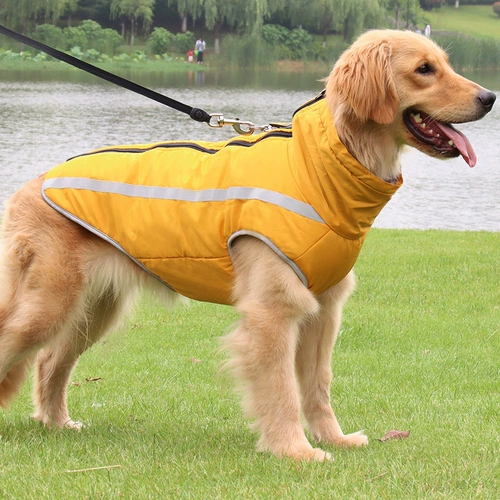 Утепленный пуховик, удерживающий тепло жилет, подходит для подростков