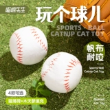 Кошки тоже любят играть в баскетбол !!