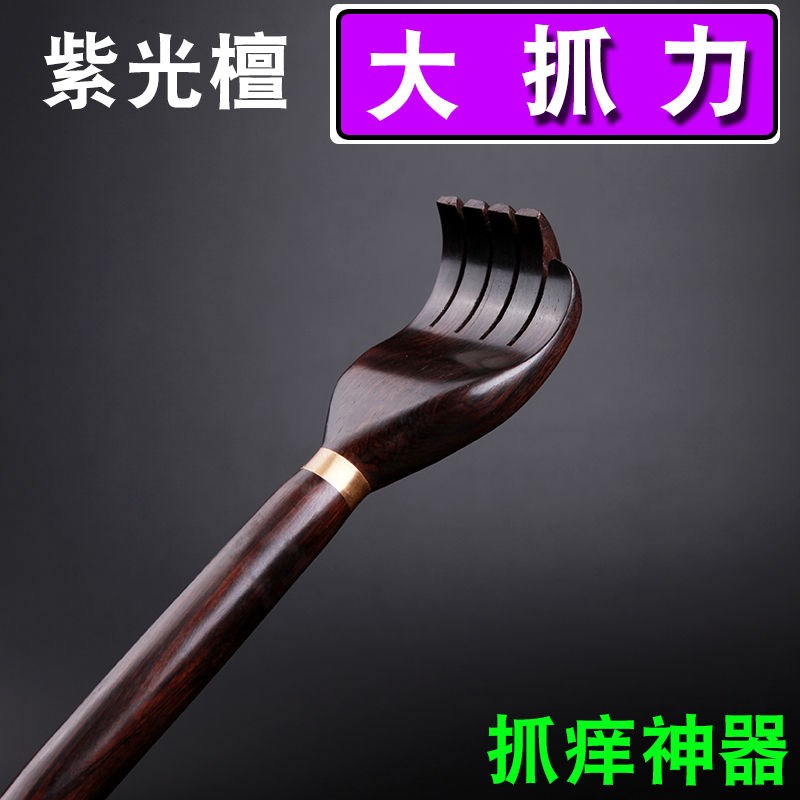 Itch scratching a small leafy purple sandalwood Purple Sandalwood with a little bit of a little bit of a hand and a little bit of a back and a little bit of a back.