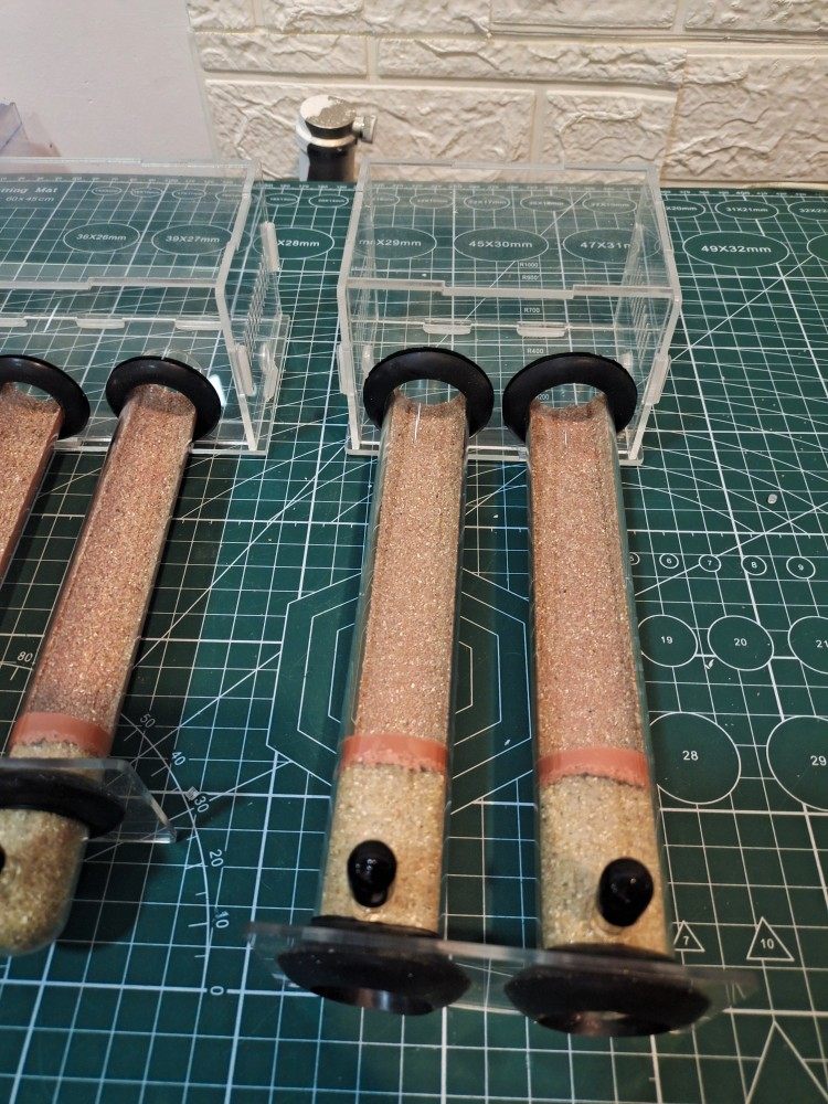 Ant Clan Rise Ants Nest Scum Box Cabbage Nest