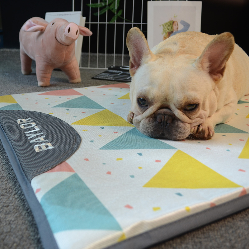 Pets cool mat summer Puppy dog Dogs Cushion Cat Mats All Season Sleeping Mat Teddy Cool Summer Sleeping Supplies Ground Mat