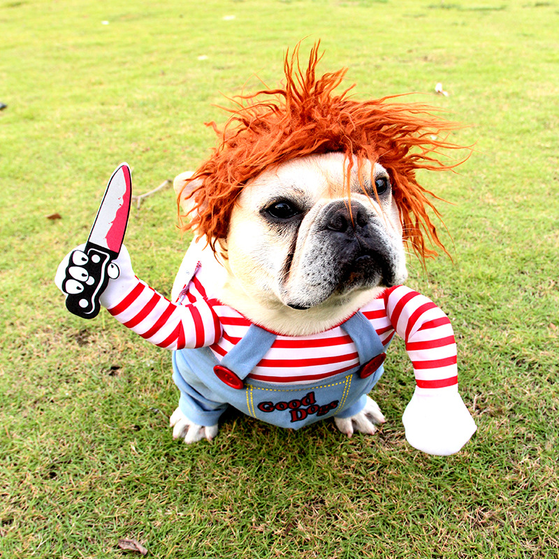 Dog Clothes Funny to Shake Deadly Dolls Pet Prank Dogs With Knives And Kittens To Blame Creative Cats for Knife Creativity