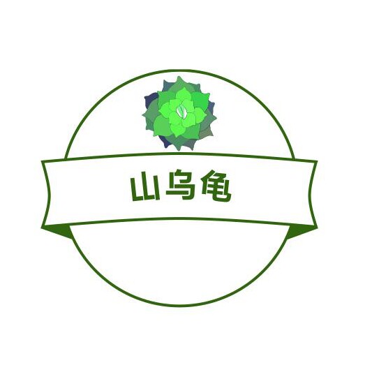 山乌龟
