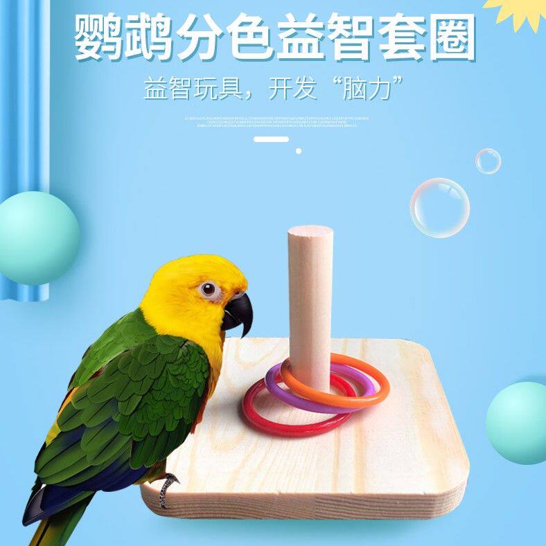 Parrot Training Toy Supplies Color-Color Puzzle Sleeves Sun Hymns-Peony Parrot Training Toy Ferrule