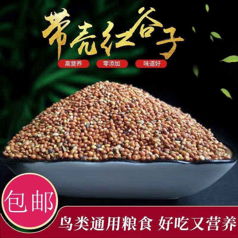Bird-eating tiger Pixuan phoenix parrot feed red valley with shell and bird food and bird painting eyebrows and bird grain 5 catties