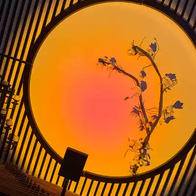 Sunset fill light, Sunset projection, Sunset, creative afterglow, behind Photography, indoor portrait, God girl, Spotlight, live room, layout, tremolo, lighting