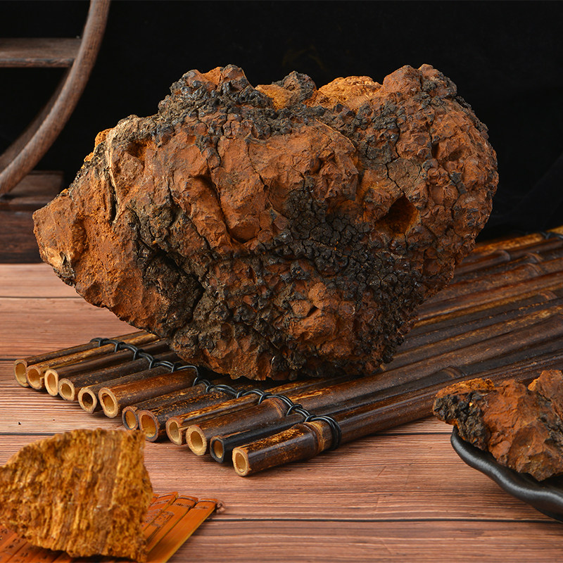 The role of chaga mushrooms imported from Russia