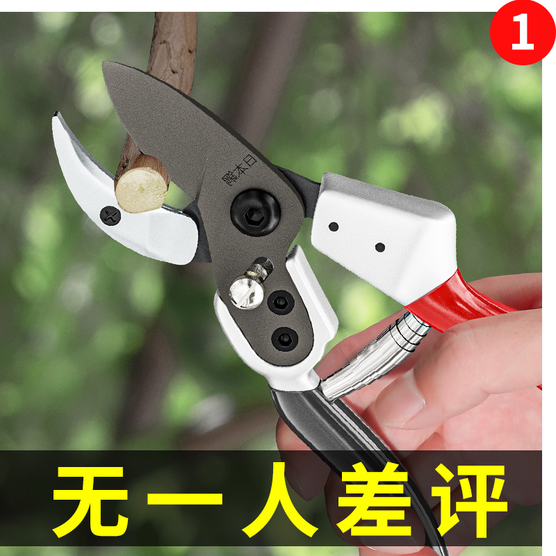 Horticultural scissors Cut branches Cut branches Pruning Twigs Pruning Twigs Powerful Flowers Cut Branches Cut branches Cut gardens Flowers Cuts of Orchard-Taobao