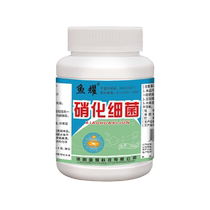 Nitrifying bacteria aquaculture live bacteria aquaculture ammonia nitrogen removal soil pond fish shrimp crab pond nitrite reduction