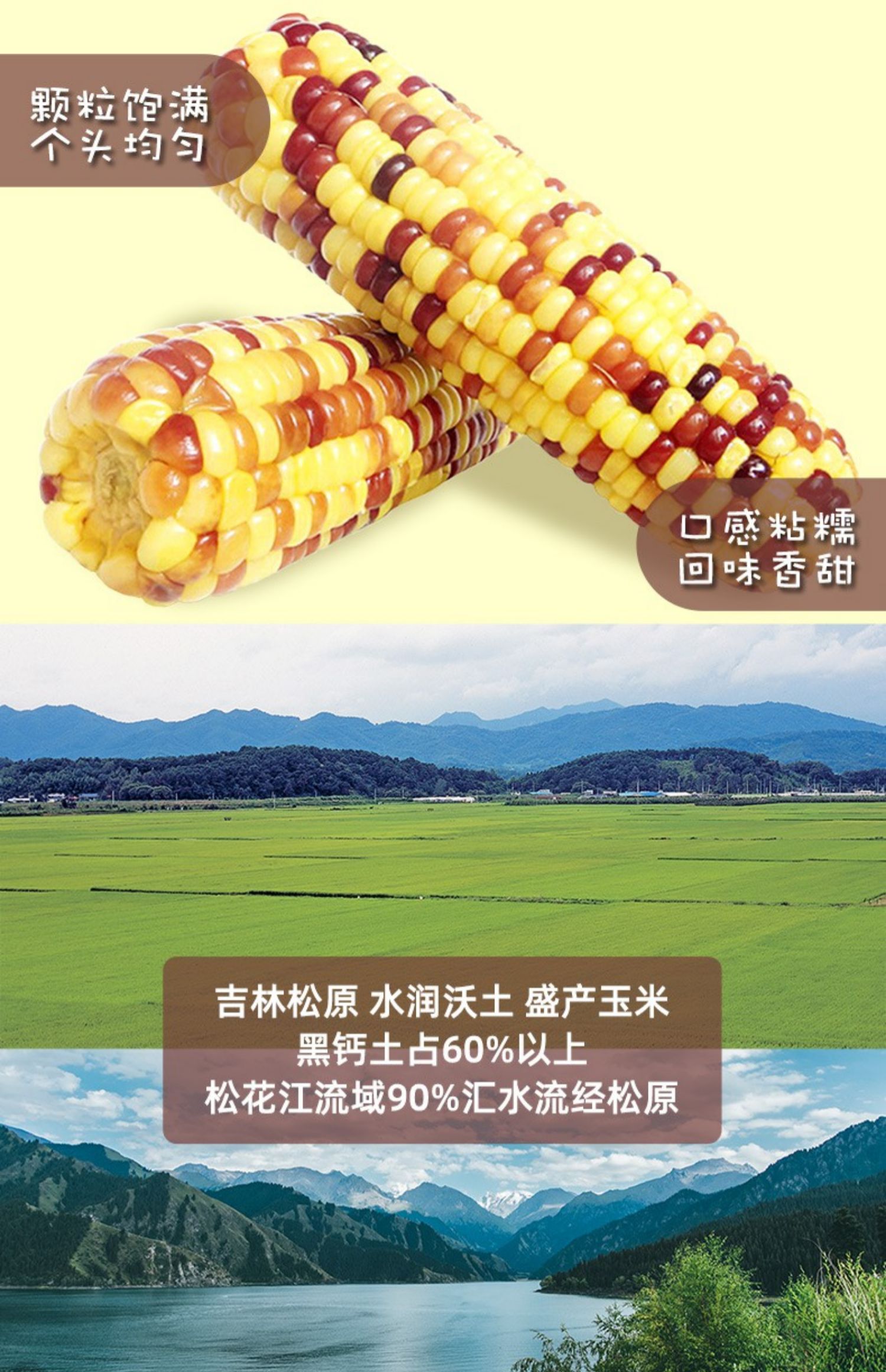 【园侬鲜】东北即食新鲜花玉米2400g