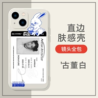 Прямая сторона TPU-Antique White-Tly5809newjeans кролик