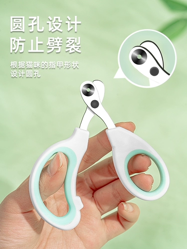 Кошки гвозди срезают кровь с порезанием крови. Слепые домашние животные домашние животные