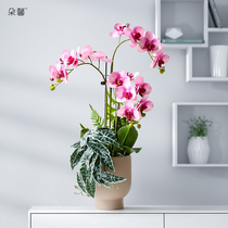 Duoxin light luxury wind Phalaenopsis simulation flower potted finished living room desktop high-end fake flower decoration decoration flower decoration