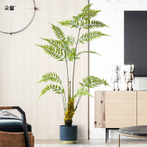 Duoxin Nordic wind simulation golden monkey fern plant Net red monkey head Fern potted living room green plant false tree decoration ornaments