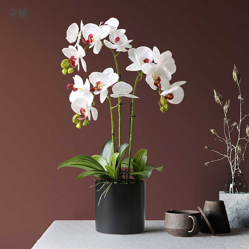 Dooxin modern light and luxurious emulated butterfly Lan flower pot planting with fake flower living-room front office upscale floral decoration furnishing