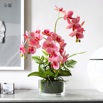 Duoxin Nordic ins Wind creative simulation Phalaenopsis potted living room indoor desktop coffee table decoration fake flower ornaments