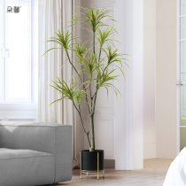 Doxin Nordic ins simulation plant potted dragon blood tree green plant living room fake tree bionic millennial Wood landing ornaments