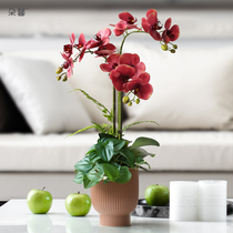 High-end hand feel three-set simulation flower Phalaenopsis potted Morandi series fake flower set meal restaurant flower decoration