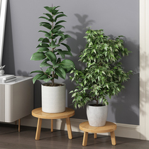 Flower shelf Shelf Flowerpots shelf Desktop Living room Dining Room Floor Flower Support floor Round Balcony Green and Multi-Meat Indoor