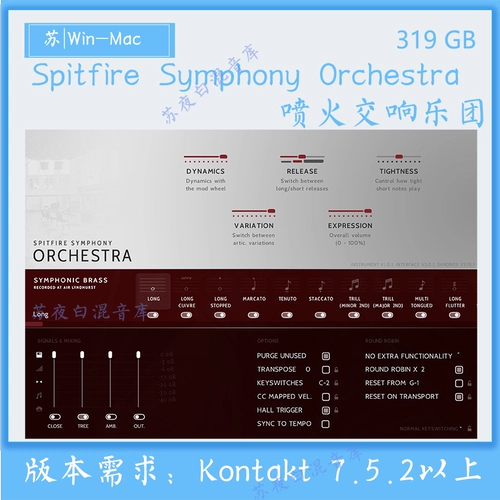 Spitfire Audio Симфонический оркестр Spitfire Симфонический оркестр Spitfire 334G