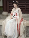 Jade Art [Cherry Basana] Оригинальная юбка для девочек Hanfu