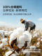 ເຄື່ອງປັບອາກາດ MUJI Soybean Quilt Thin Summer Cooling Quilt Pure Cotton Machine Washable Summer Summer Quilt Single Quilt Core