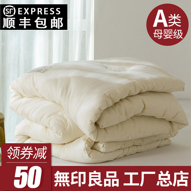 Muji Class A quilt cotton soybean quilt quilt winter quilt thickened warm spring and autumn quilt core quilt space quilt