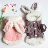 Удерживающий тепло кролик, домашний питомец, осенний