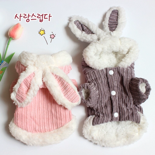 Удерживающий тепло кролик, домашний питомец, осенний