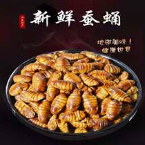 Small silkworm pupa fresh frozen 5kg Shandong specialty export quality original flavor without adding silkworm pupa