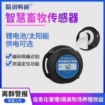  Animal ear tag Electronic RFID identification temperature measurement sow cattle and sheep Animal solar behavior analysis electronic ear tag