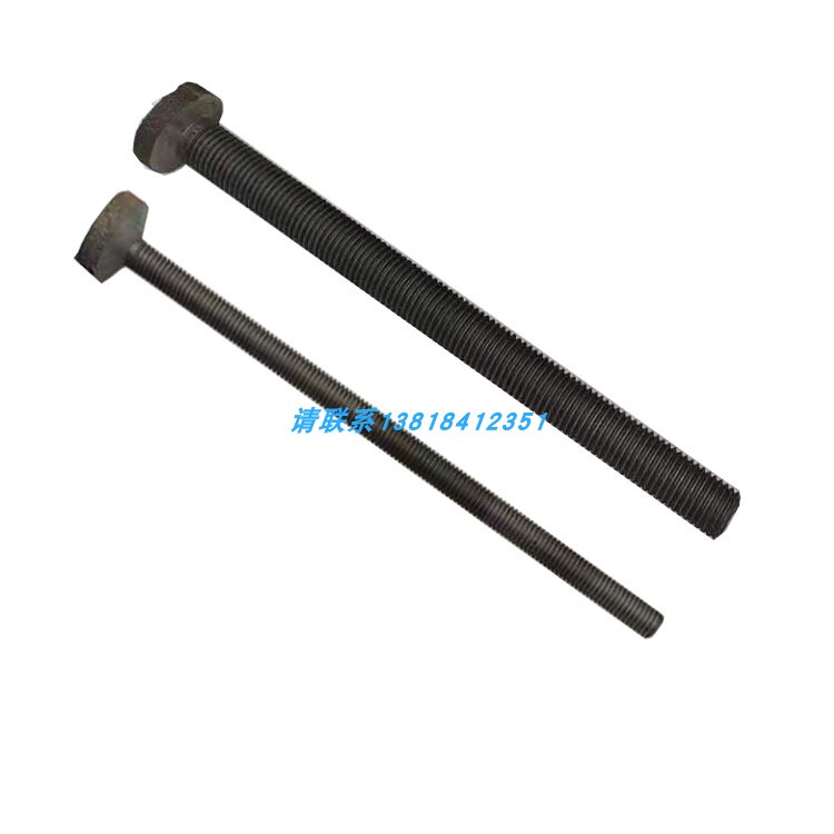 Ht300 Screw Raw Wire Rod Mold Sealing with Cast Iron Tooth Strip Gray Iron Screw Rod Correction Screw Ht300 Screw Raw Wire Rod Mold Sealing with Cast Iron Tooth Strip Gray Iron Screw Rod Correction Screw