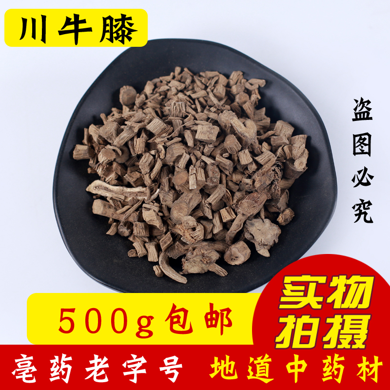 Sichuan knee medicine material 500g new cattle lacquer can be milled with sweet cow lacquer