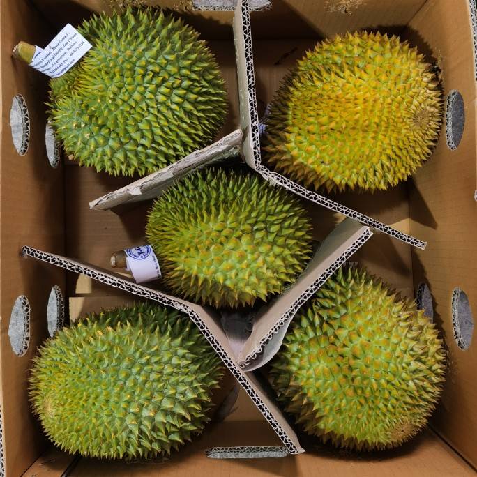 Durian with a whole box of six tomannikine palm pillow cat Mountain durian flagship store Wang Durian Shunfeng Fresh-Taobao