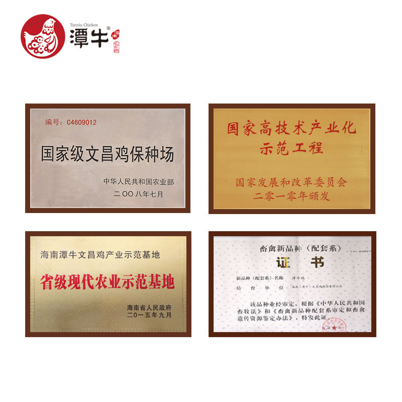国家地理标志产品 海南文昌 散养大公鸡 2斤/只 图2