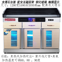 Lifang hot air circulation multi-functional catering tea disinfection cabinet commercial box Restaurant School kindergarten disinfection cabinet